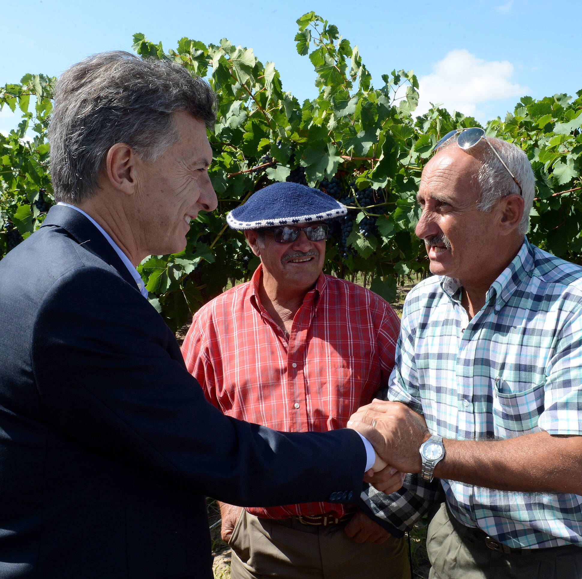 El Presidente anunció en Mendoza medidas de apoyo al sector vitivinícola.