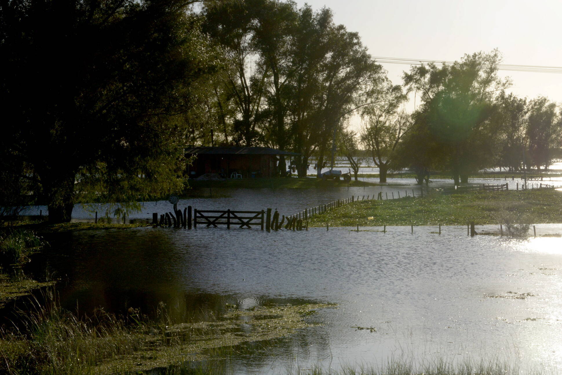 Amplían la emergencia agropecuaria para las provincias afectadas por inundaciones o sequías