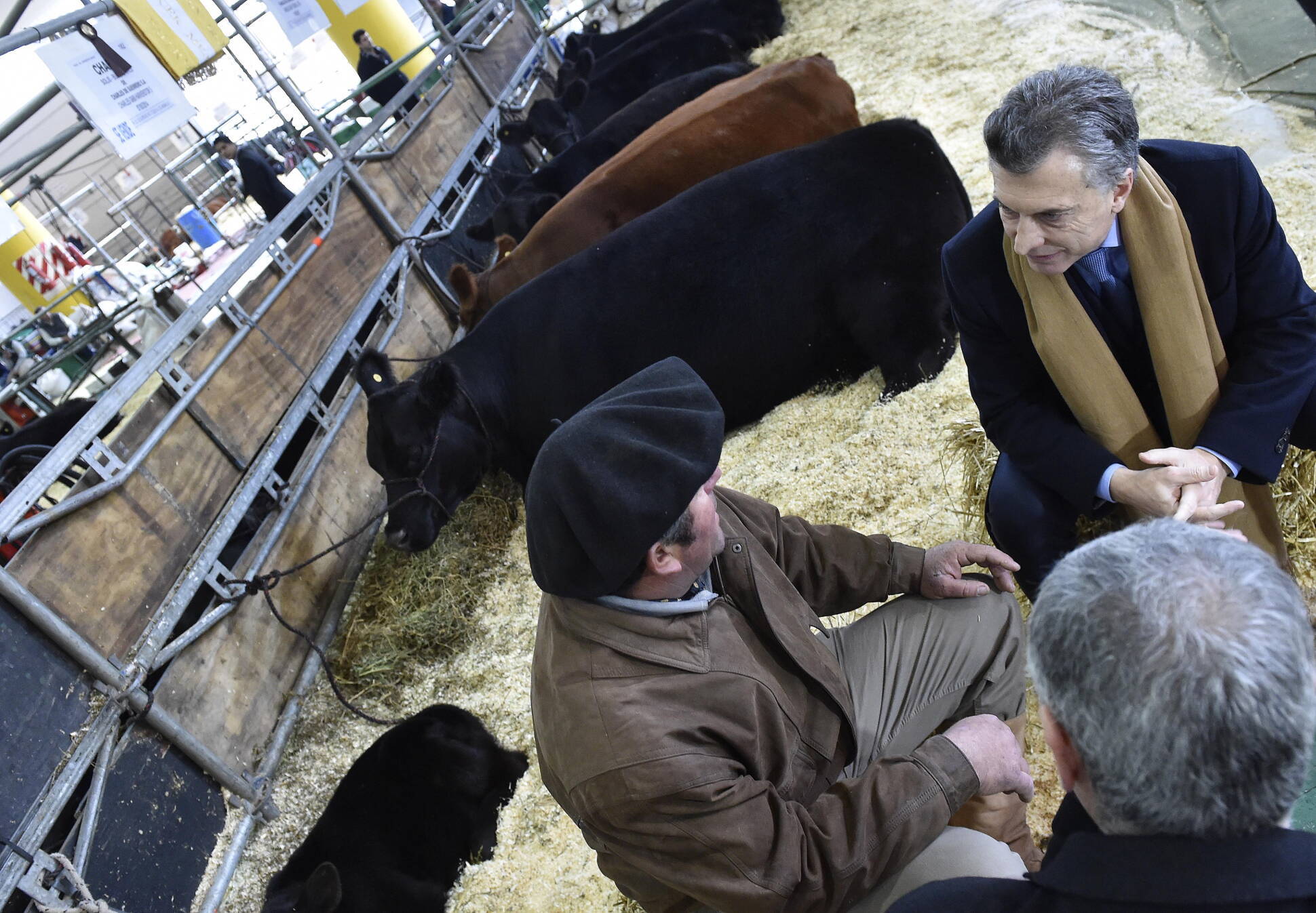 Macri, en la Rural: Empieza una nueva etapa en la Argentina