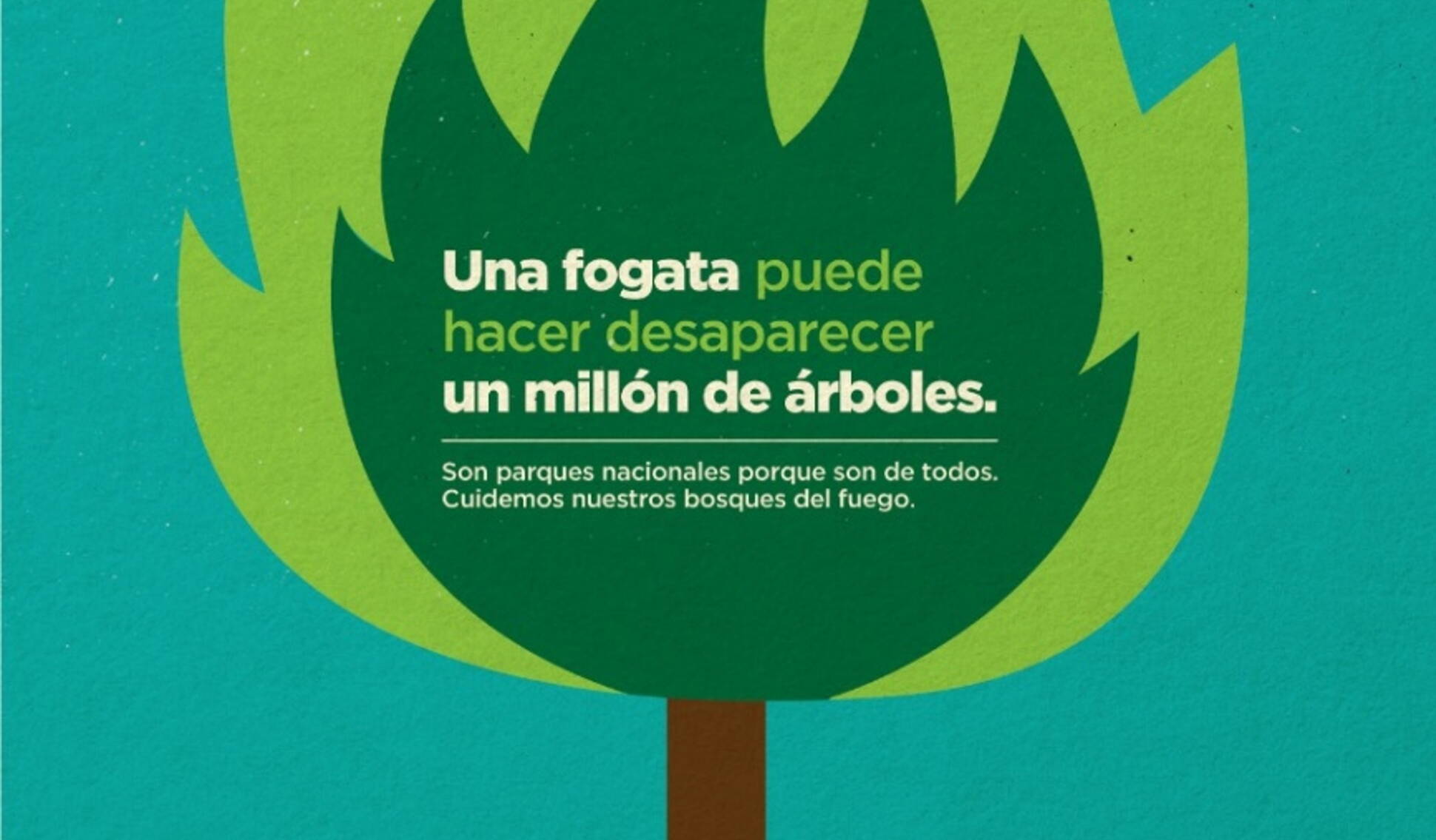 Bosques sin fuego 2017: ¿Cómo prevenir los incendios forestales?