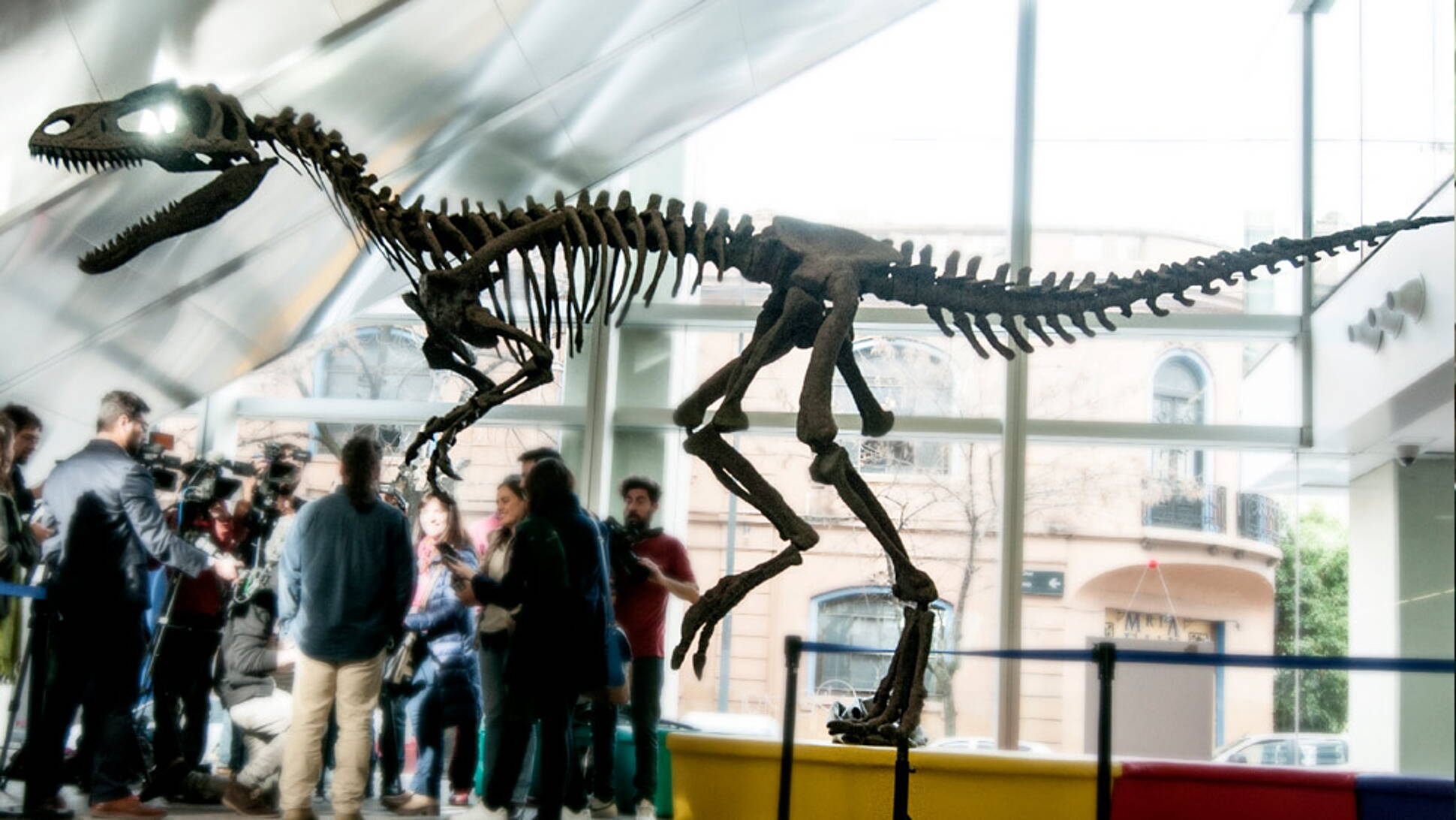 Investigadores del Conicet fueron distinguidos en un ranking de publicaciones paleontológicas