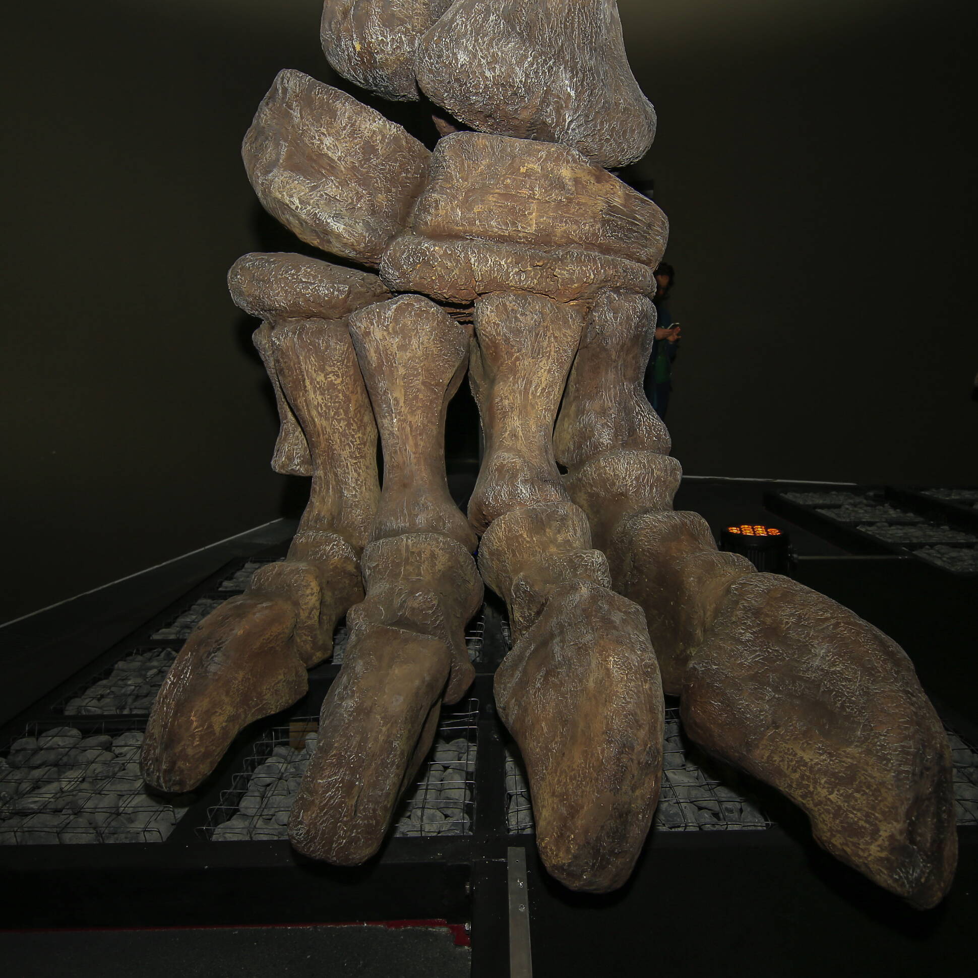 Muestra de dinosaurios argentinos se exhibe en Milán