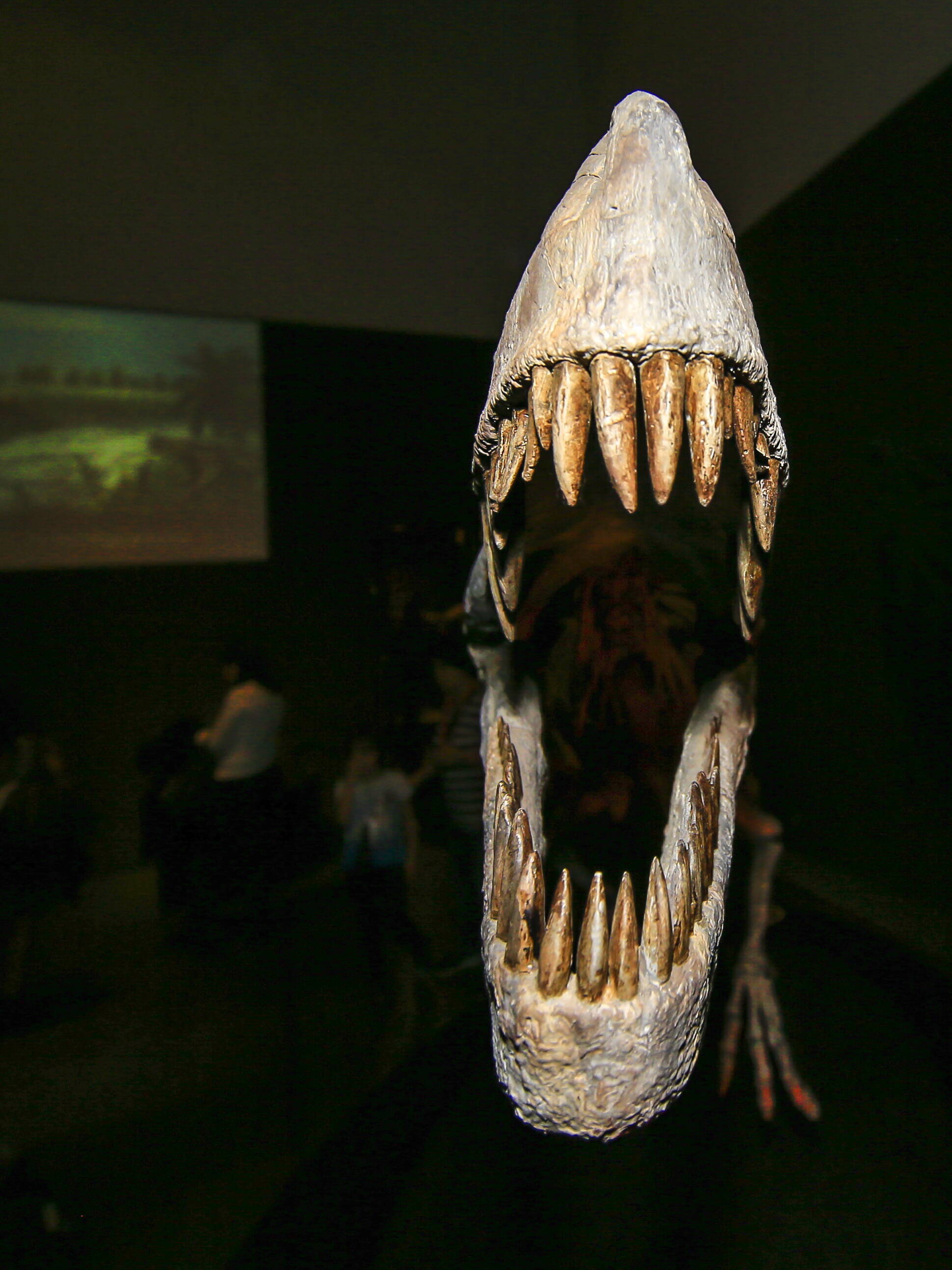 Muestra de dinosaurios argentinos se exhibe en Milán