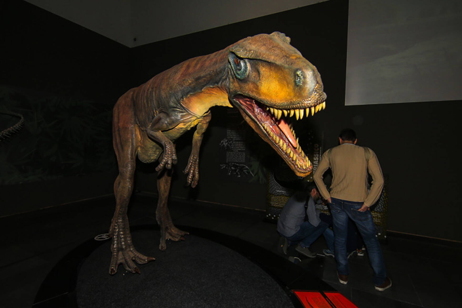 Muestra de dinosaurios argentinos se exhibe en Milán