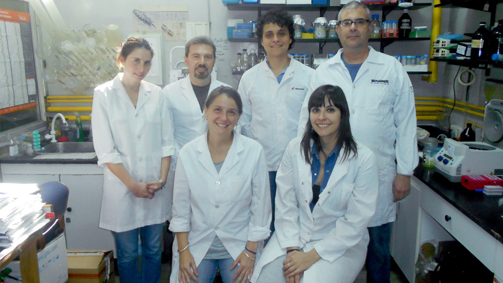 Investigadores del Conicet descubren nuevo posible tratamiento contra el Chagas