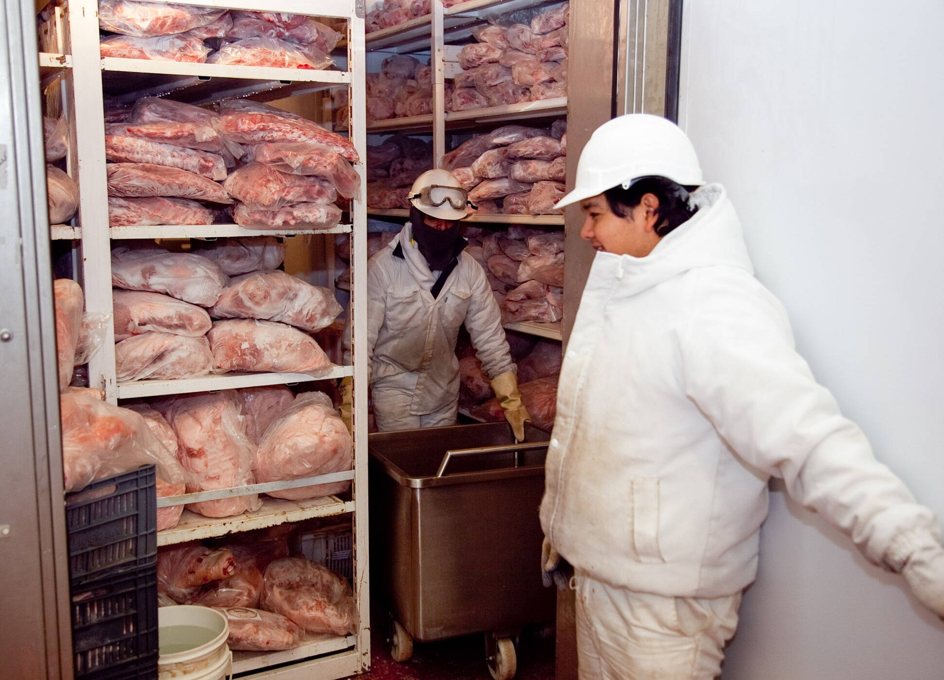 Por primera vez, la Argentina exporta media res de cerdo a Rusia