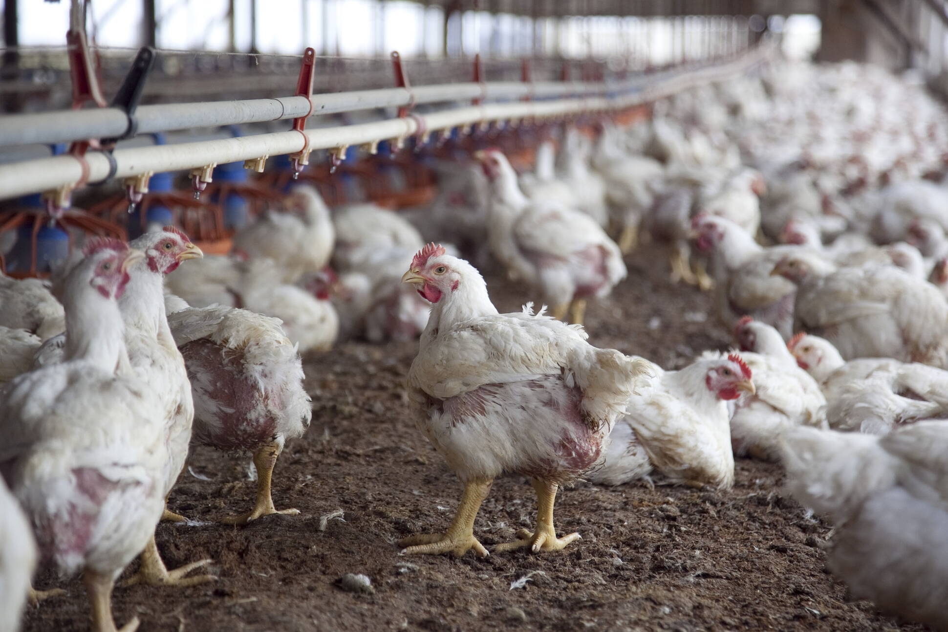 Más de 50 proyectos agroindustriales recibieron créditos con tasa bonificada