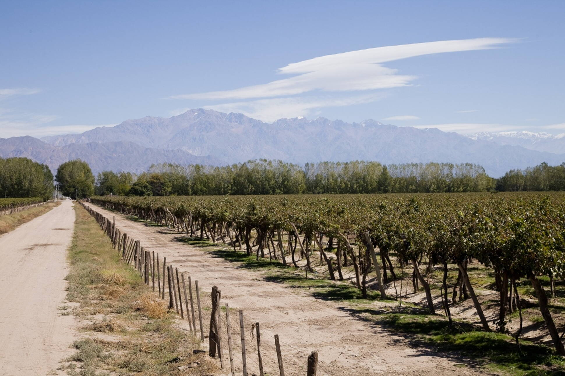 Agroindustria entregó fondos a pequeños productores de la provincia de Mendoza