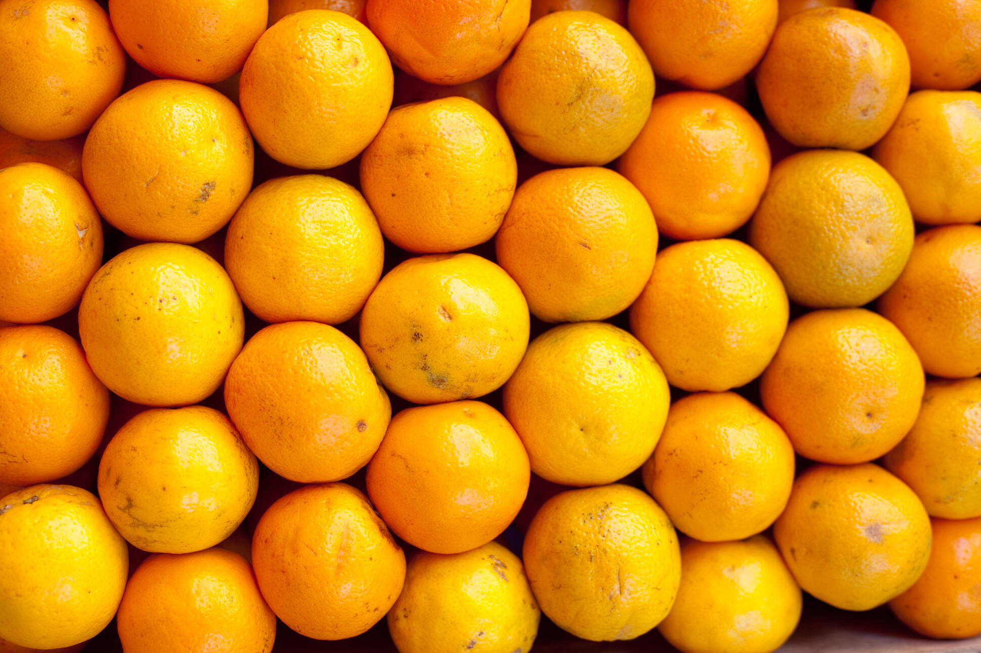 Ingresó el primer cargamento de naranjas argentinas a Brasil