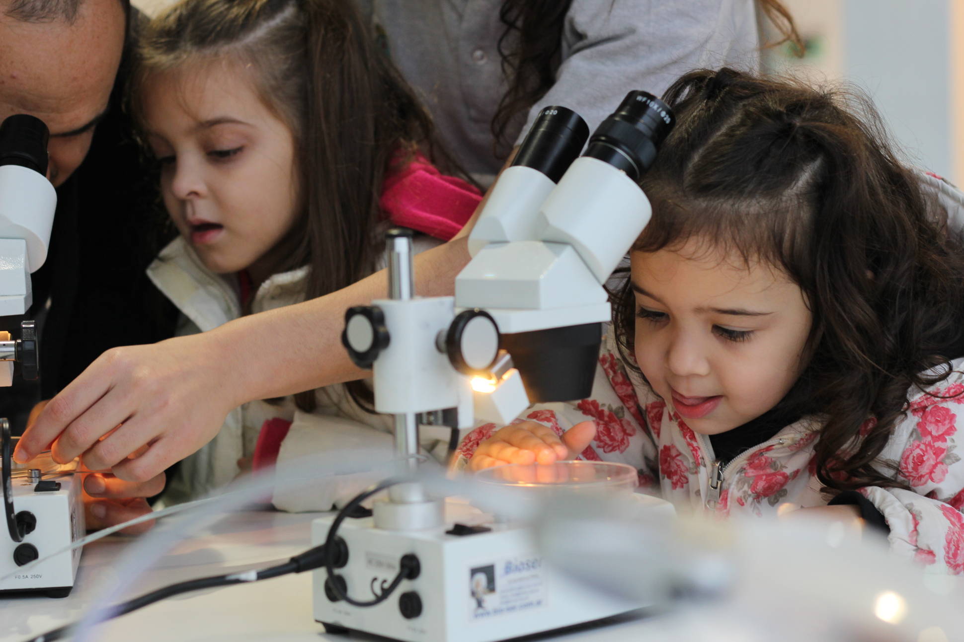 Sala del Conicet en Tecnópolis ya recibió más de 60 mil visitas