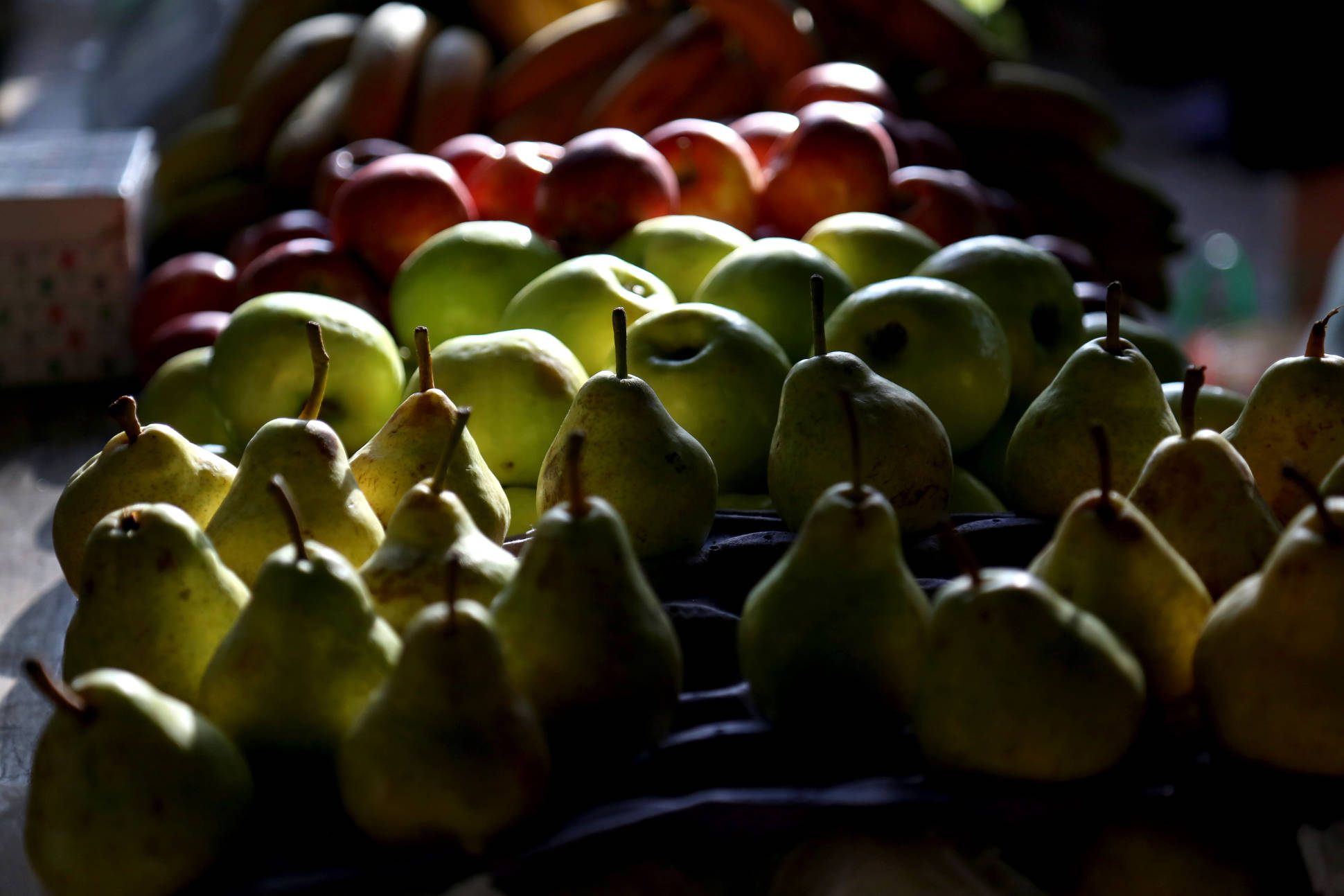 Agroindustria otorga créditos a productores neuquinos de peras y manzanas