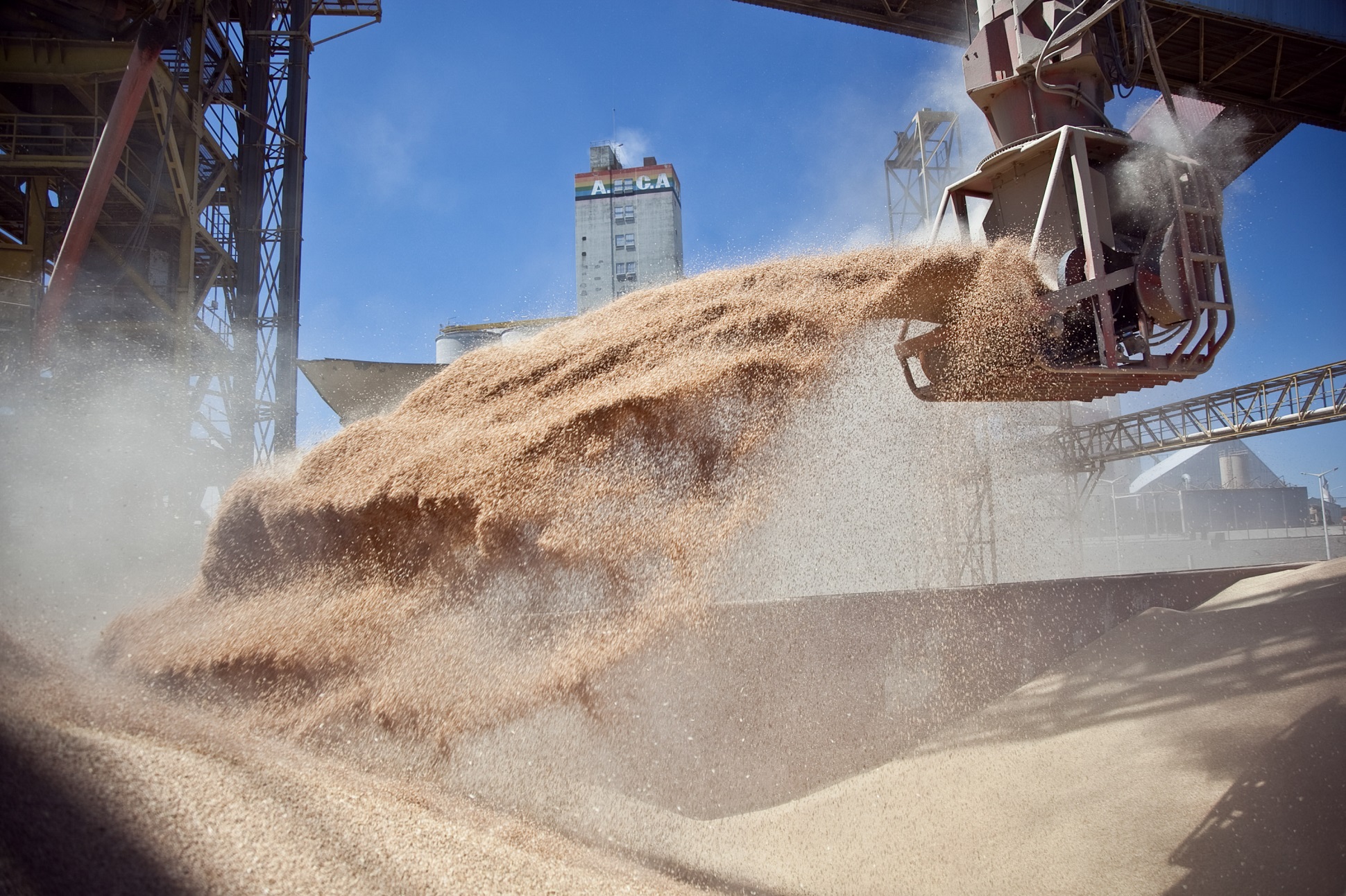 Se simplifican las exigencias a productores y operadores de granos