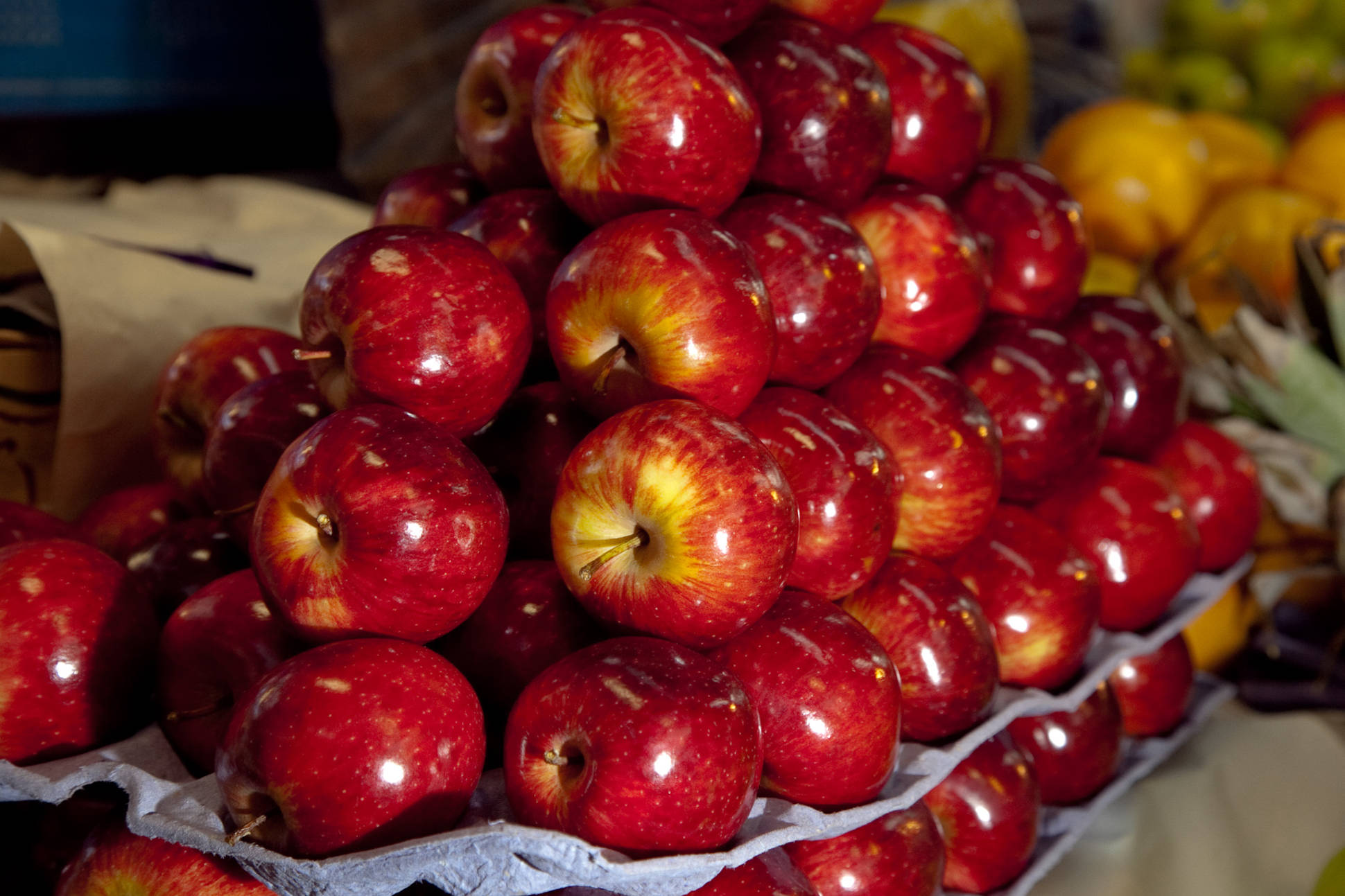Productores de manzanas y peras de cinco provincias tendrán beneficios
