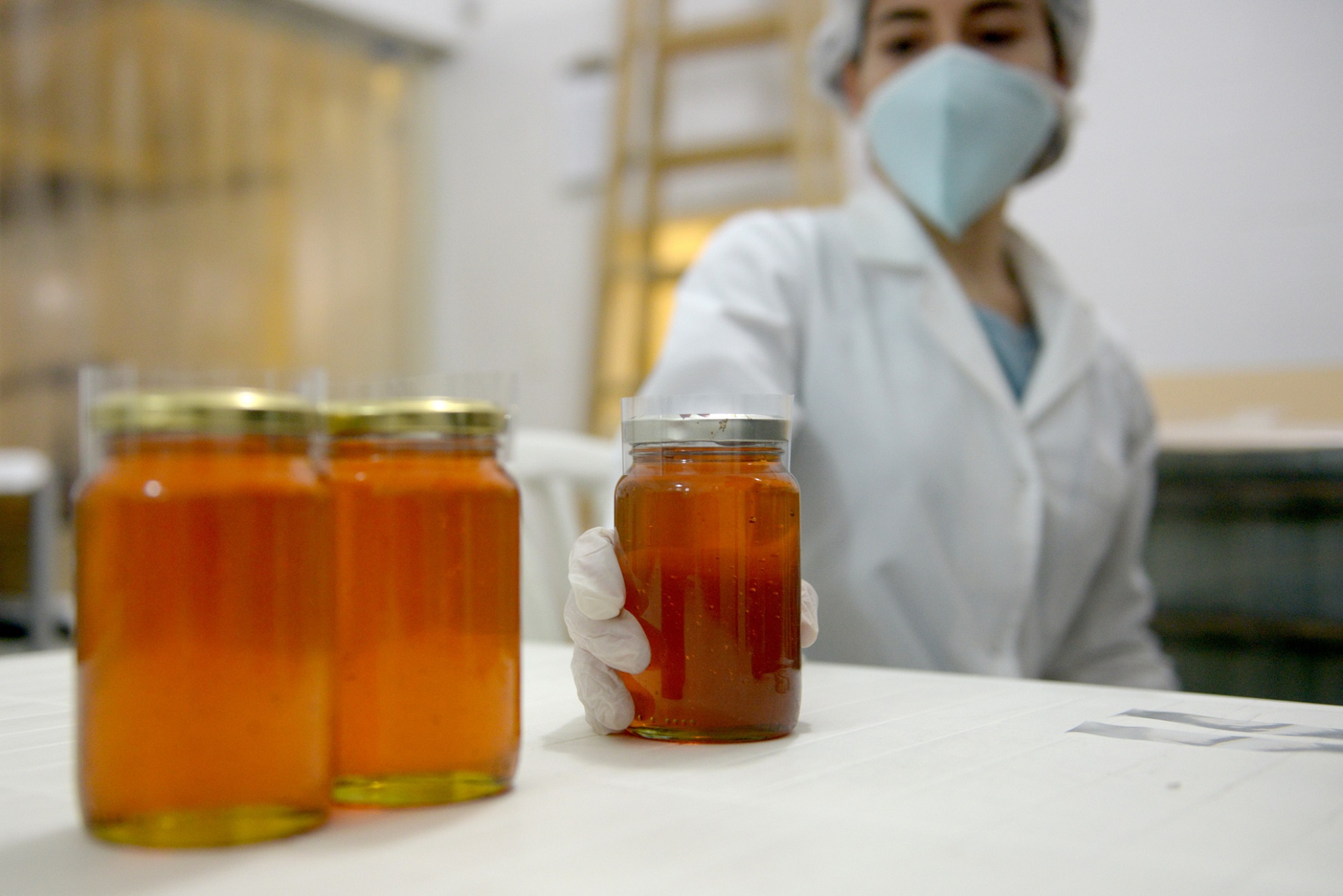 Después de una década la Argentina podrá exportar miel fraccionada a Brasil