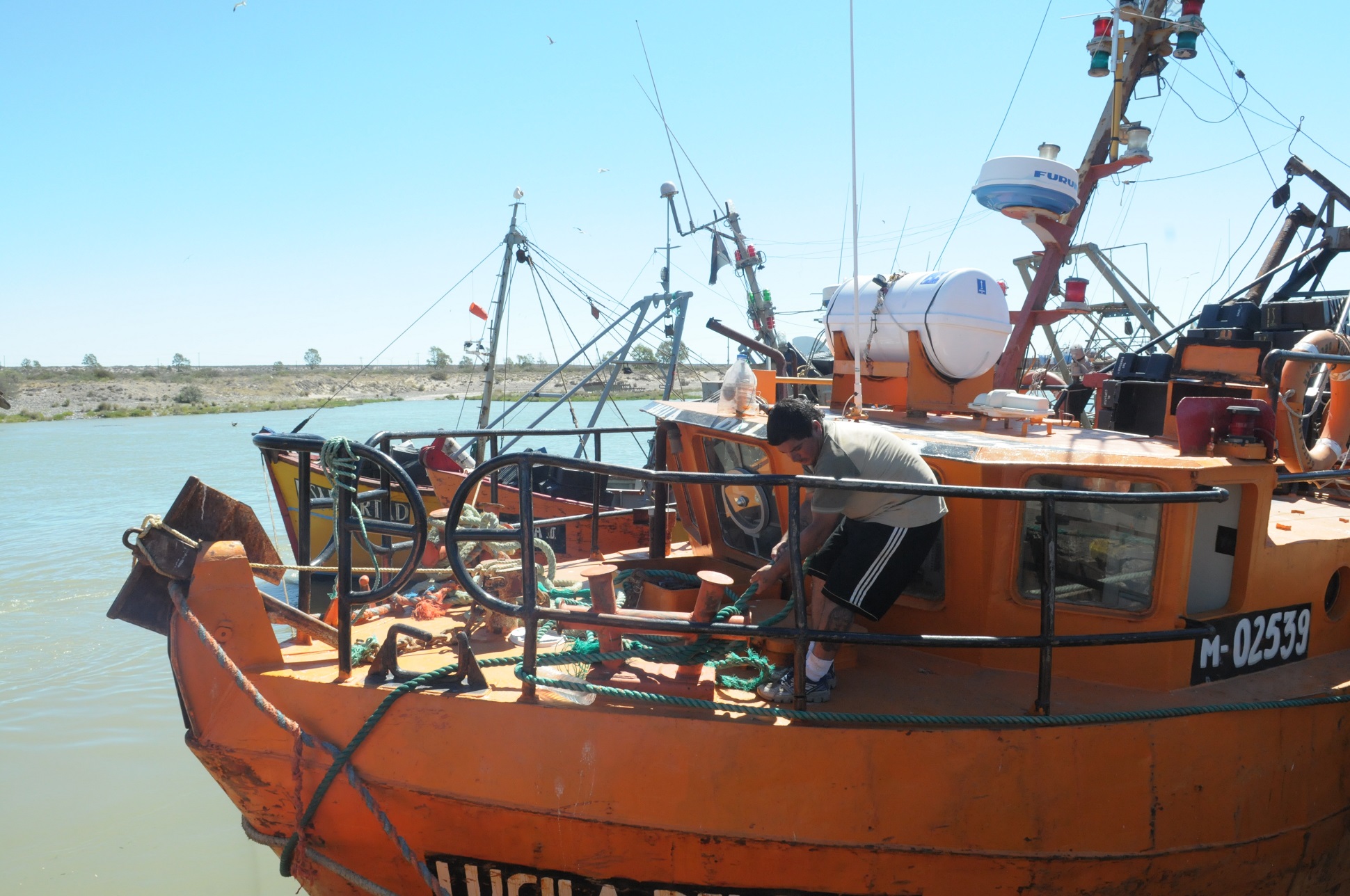 Más de 20 nuevas empresas pesqueras argentinas podrán exportar a Rusia