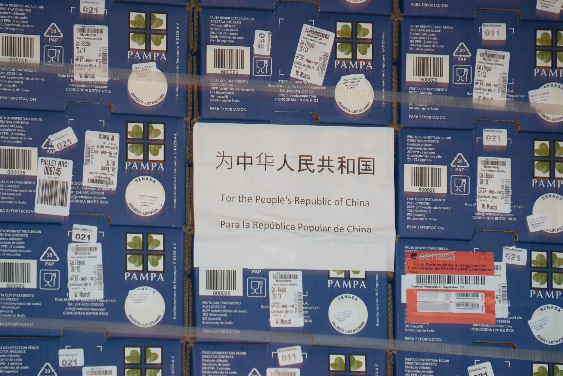 Después de 7 años, Argentina vuelve a exportar mandarinas a China