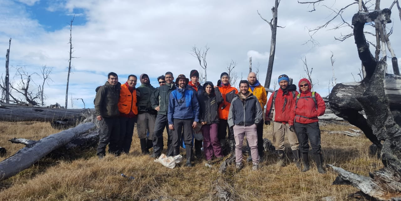 Avanza la restauración de bosques incendiados en Tierra del Fuego