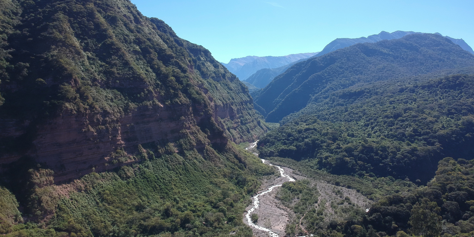 Nueva convocatoria de proyectos para recuperar bosques nativos