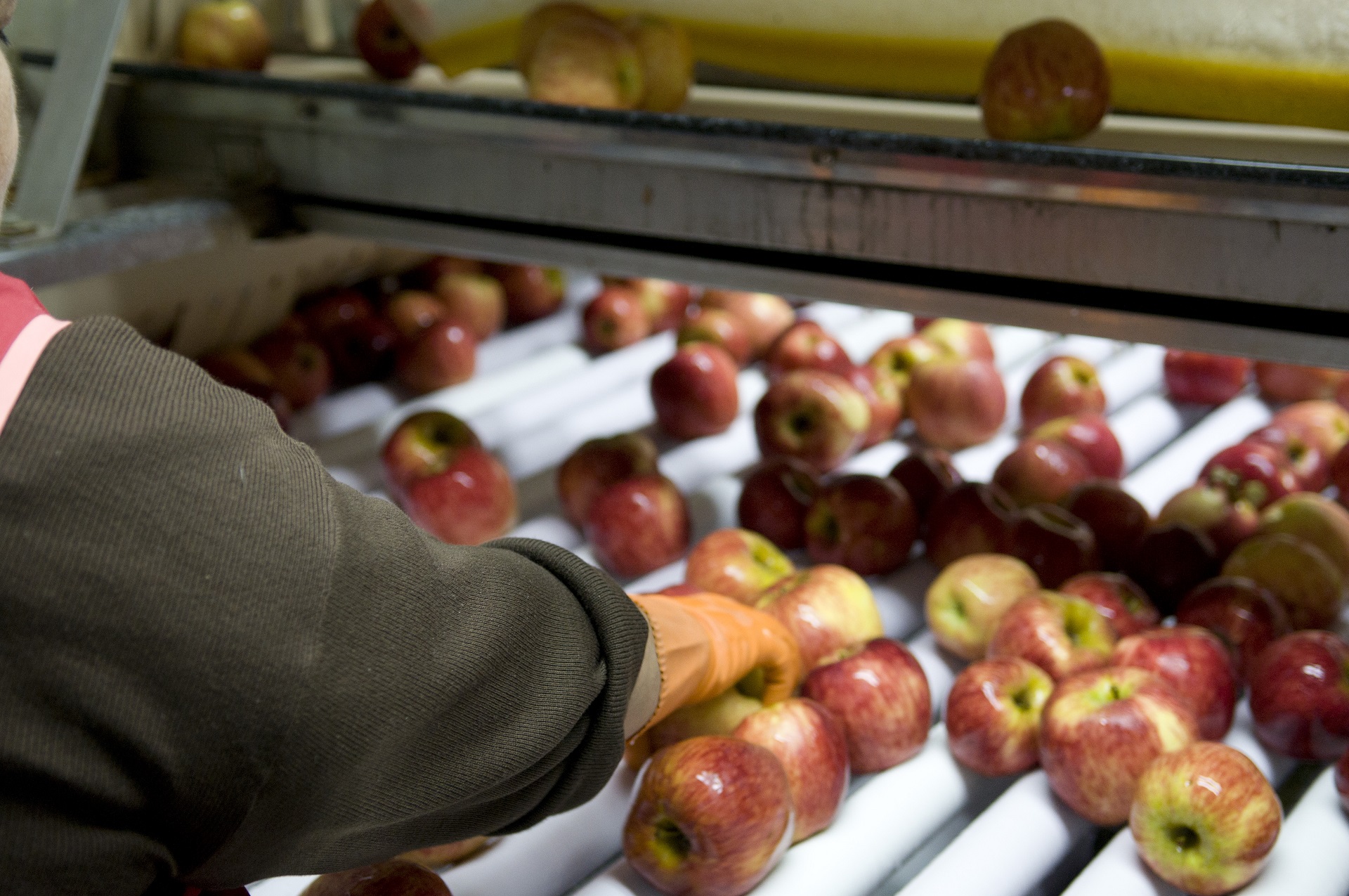 PyMEs productoras de alimentos recibirán aportes para mejorar su inserción en los mercados