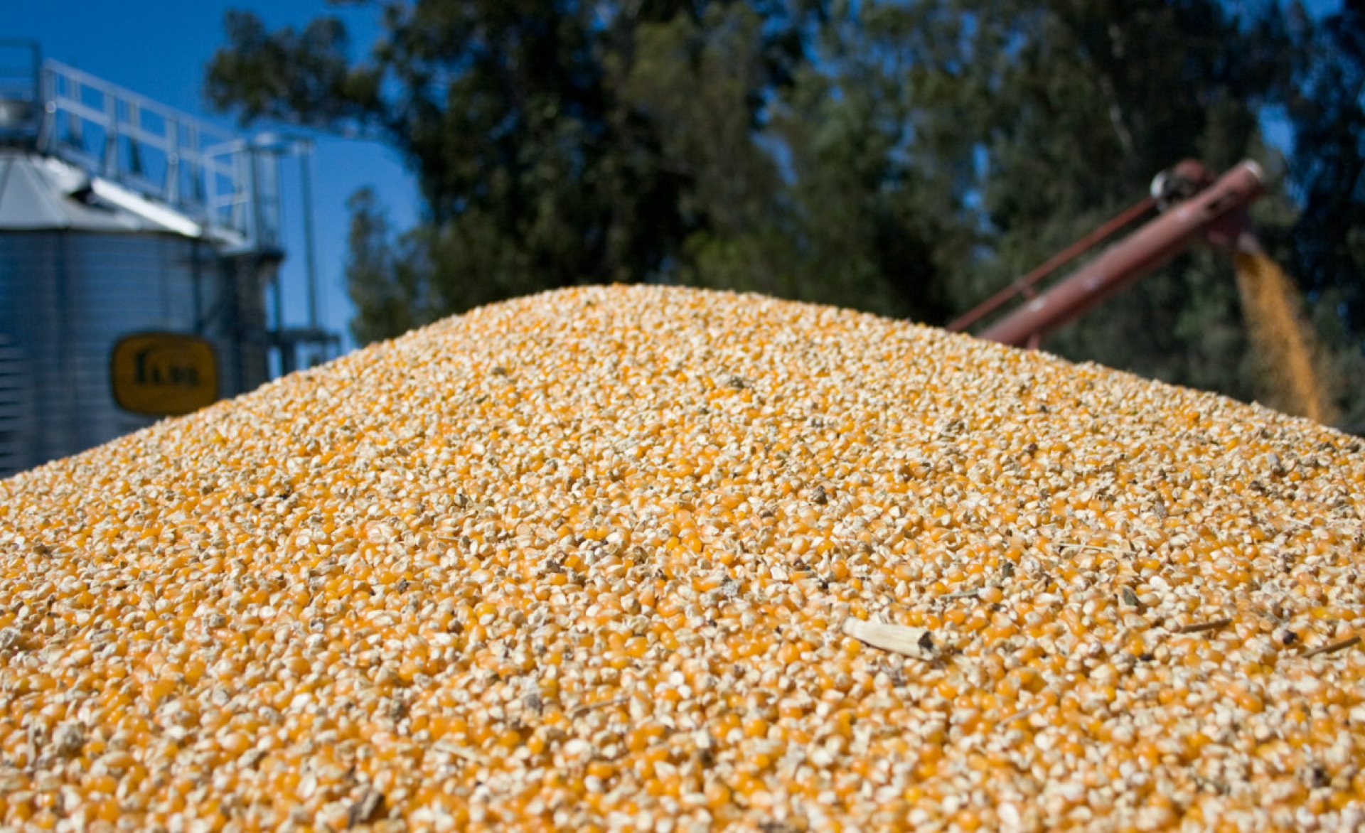 Record 147 million tonne harvest expected for 2018-2019 