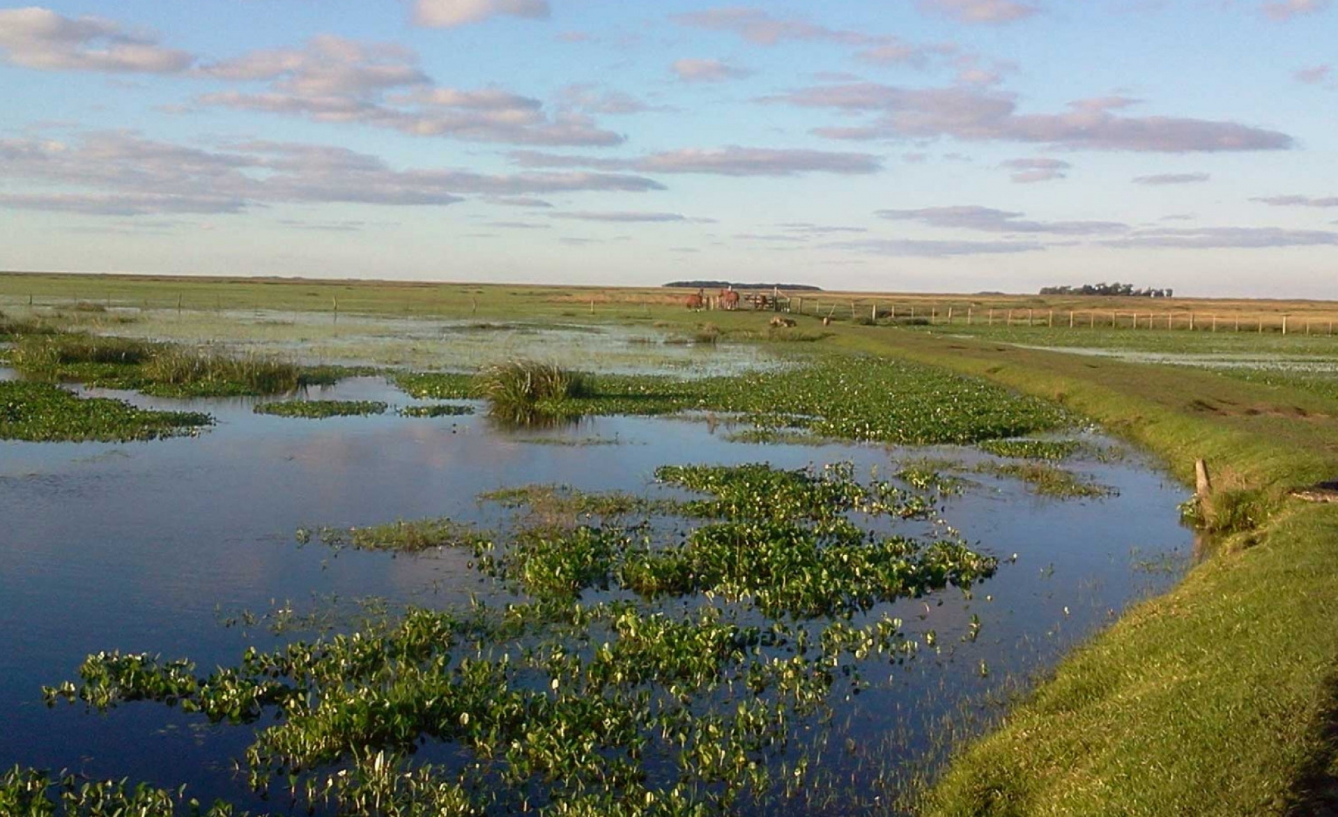 New reserve created in the Iberá Wetlands, Corrientes province