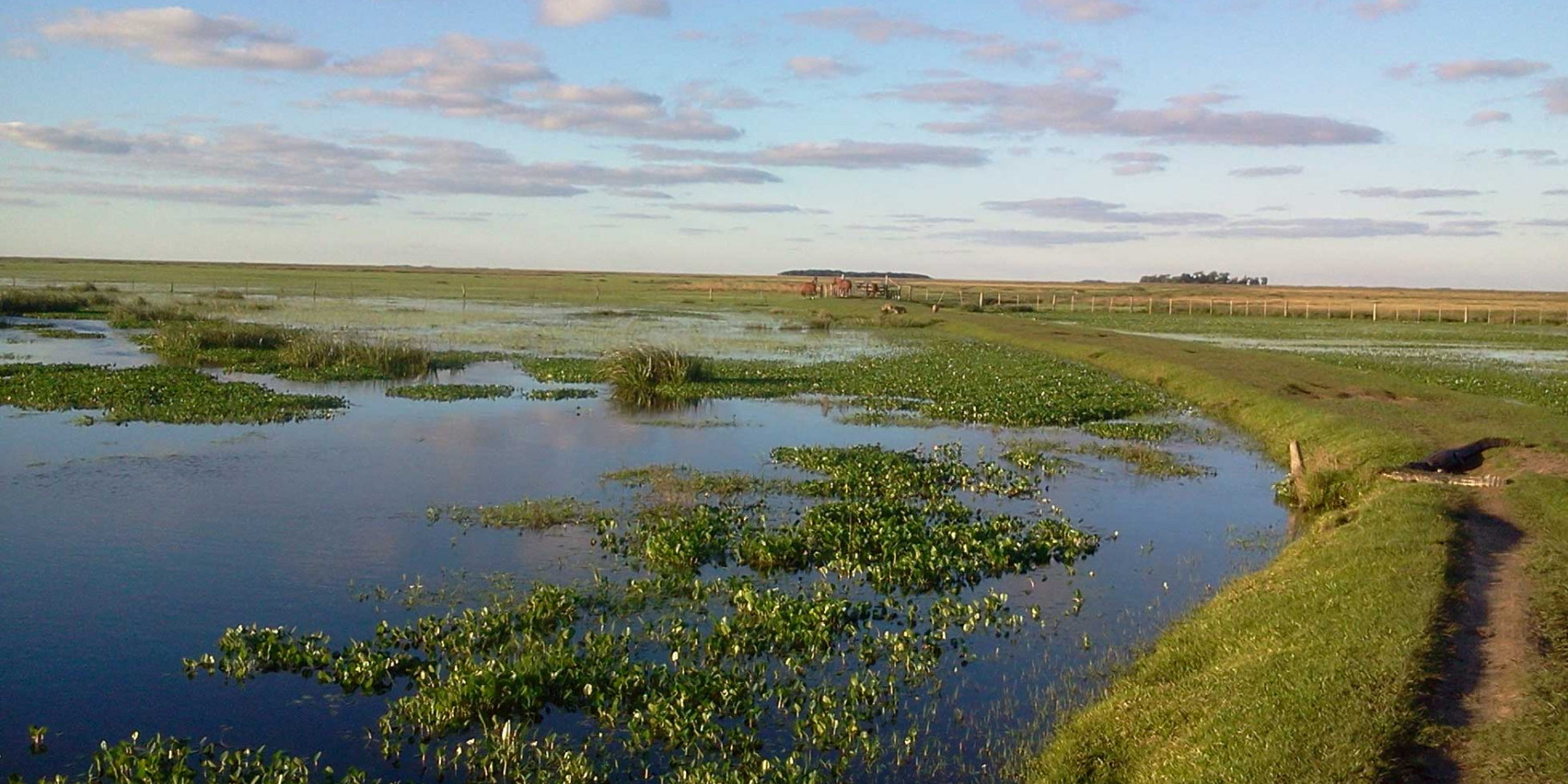 Se creó una nueva reserva en los Esteros del Iberá