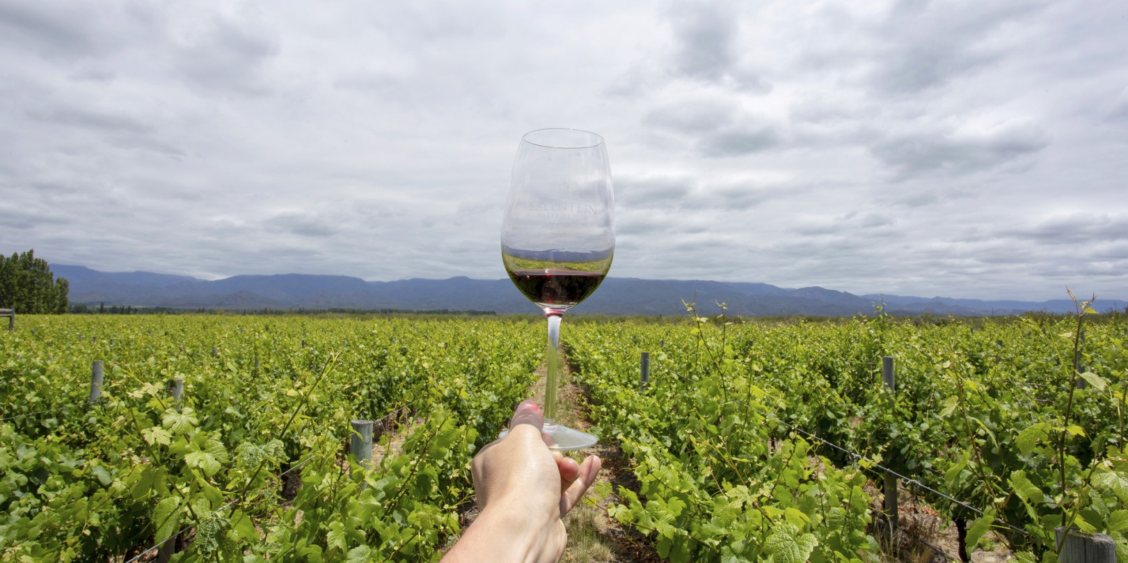 La Argentina participará de una exhibición vitivinícola en Francia
