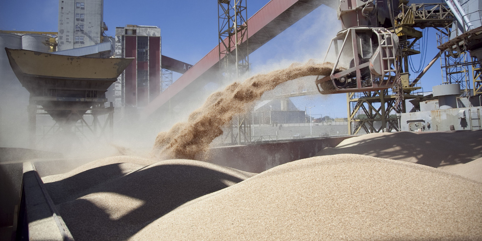 Argentina to export soymeal livestock feed to China, the world’s largest consumer 