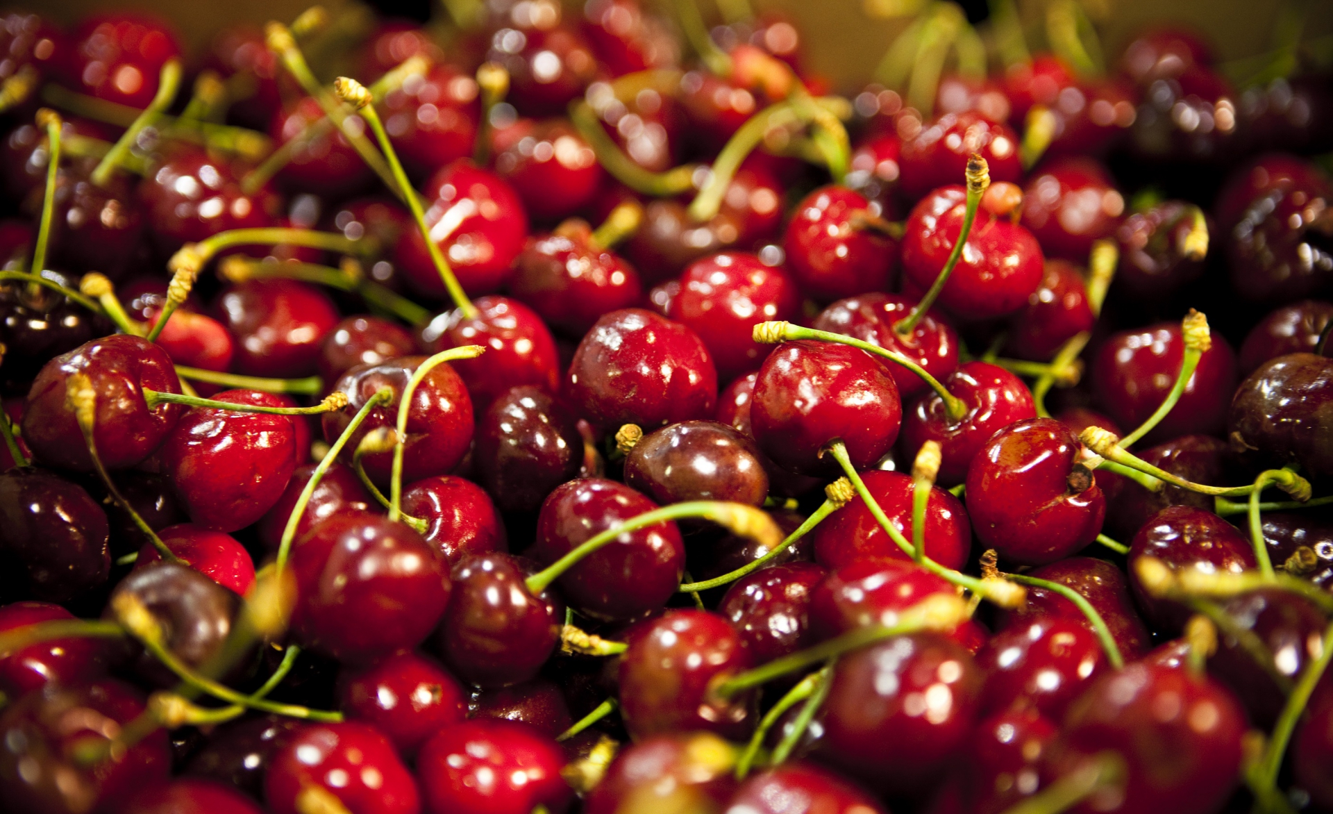 Argentina to export grapes and cherries to Thailand