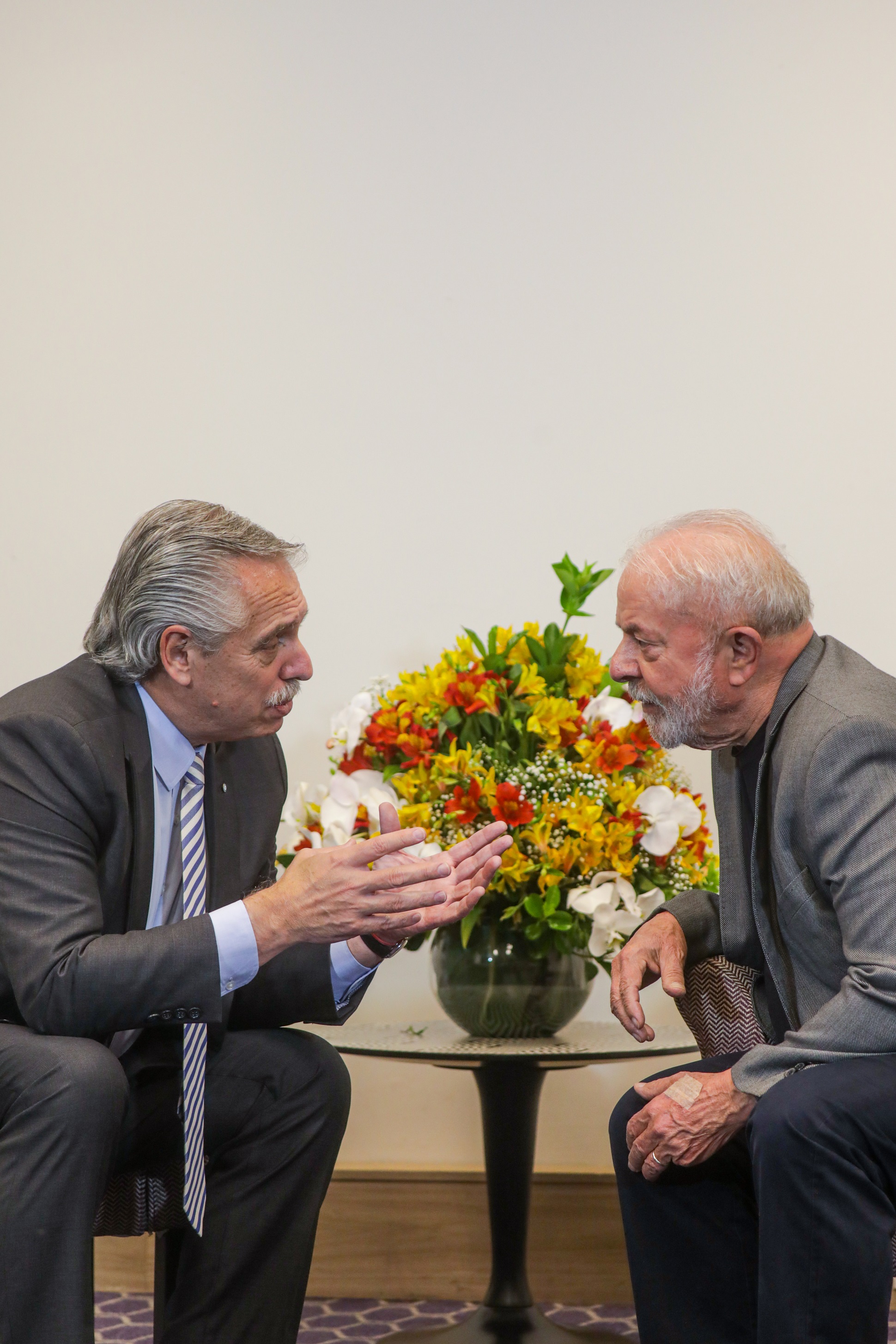 Alberto Fernández: “Con Lula compartimos la mirada sobre la necesidad de que la democracia se consolide en todo el continente”