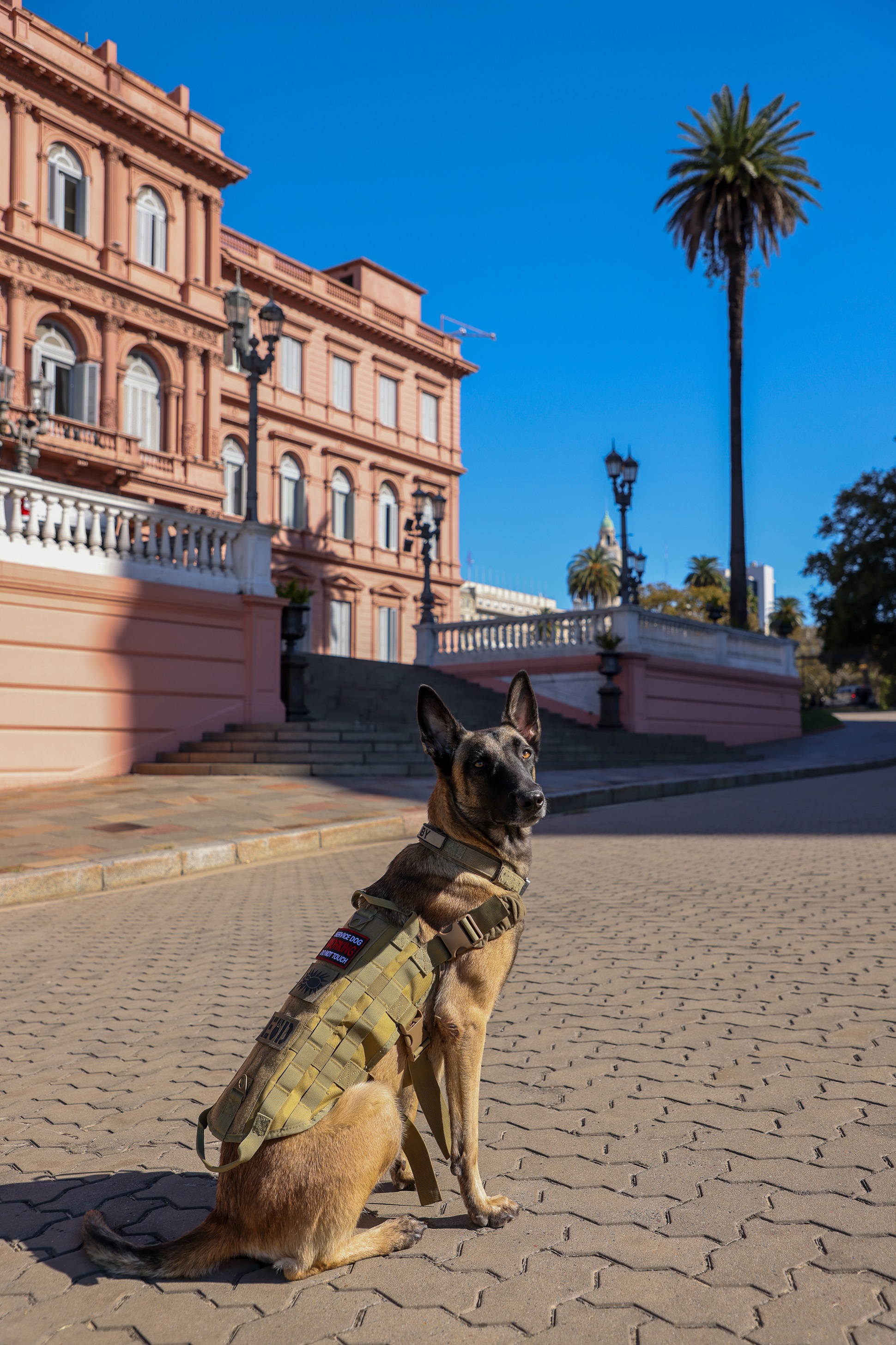 29 de abril: Día del Animal