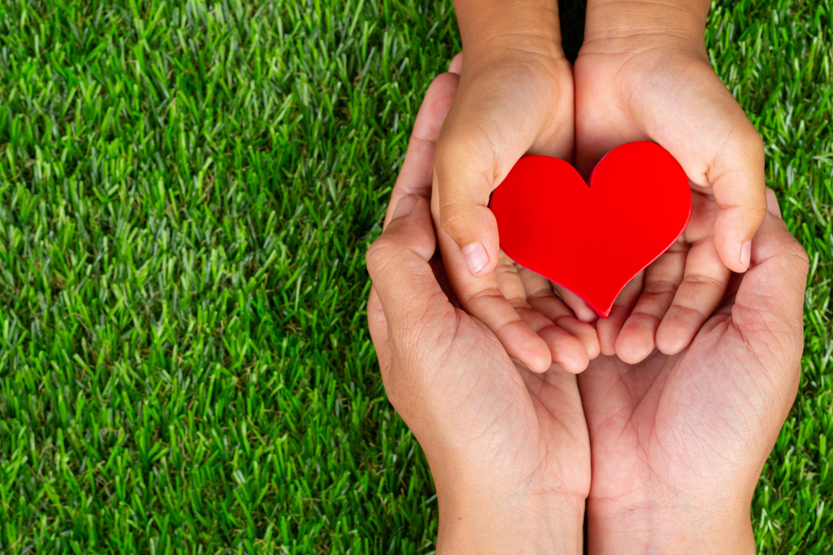 World Day for Organ, Tissue and Transplant Donation: An act that saves lives