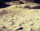 Argentina reafirma su compromiso para poner freno a la erosión de los suelos
