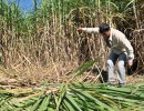 Créditos y donaciones para pequeños productores del Norte