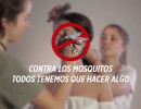 El Gobierno recomienda mantener activas las acciones en hogares contra el mosquito transmisor del dengue