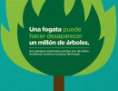 Bosques sin fuego 2017: ¿Cómo prevenir los incendios forestales?