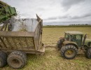 En 2016 crecieron las exportaciones de alimentos y bebidas originadas en economías regionales