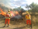 El Banco Nación brindará ayuda crediticia a los productores agropecuarios afectados por los incendios
