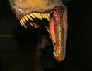 Muestra de dinosaurios argentinos se exhibe en Milán