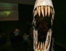 Muestra de dinosaurios argentinos se exhibe en Milán