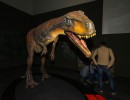 Muestra de dinosaurios argentinos se exhibe en Milán