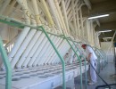 La producción de harina de trigo subió 10 por ciento en el primer trimestre
