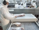 Partió el primer embarque de carne bovina argentina a Filipinas