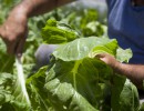 Agroindustria organiza curso de Producción Orgánica en Tucumán