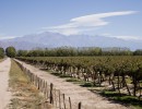 Agroindustria entregó fondos a pequeños productores de la provincia de Mendoza