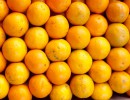 Ingresó el primer cargamento de naranjas argentinas a Brasil