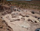 Investigadores del Conicet descubrieron al dinosaurio terrestre más grande