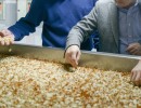Agroindustria realizará un seminario para PyMEs productoras de alimentos