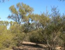 Avanza la creación de un nuevo parque nacional en Córdoba