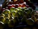 Agroindustria otorga créditos a productores neuquinos de peras y manzanas